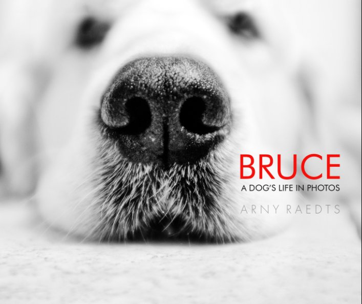 View Bruce by Arny Raedts
