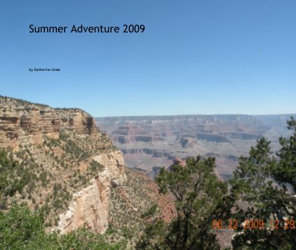Summer Adventure 2009 book cover