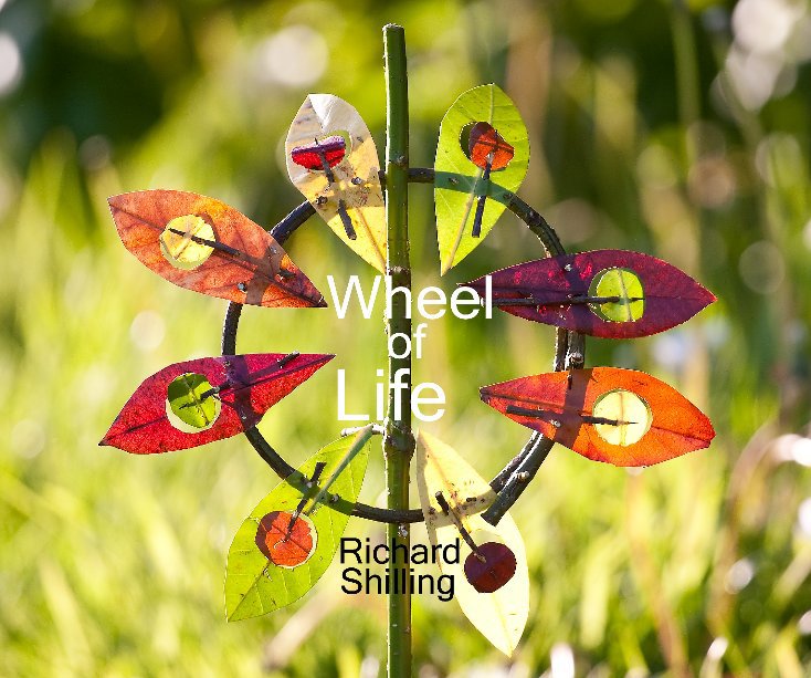 View Wheel of Life by Richard Shilling