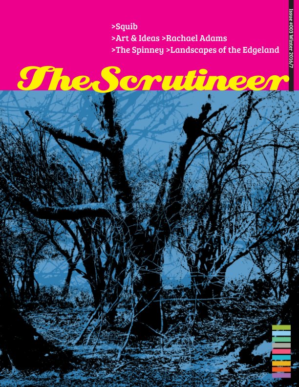 View The Scrutineer: Issue 3 by Rachael Adams