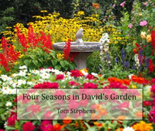 A Year in David's Garden book cover