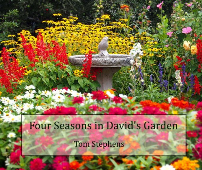 View A Year in David's Garden by Tom Stephens
