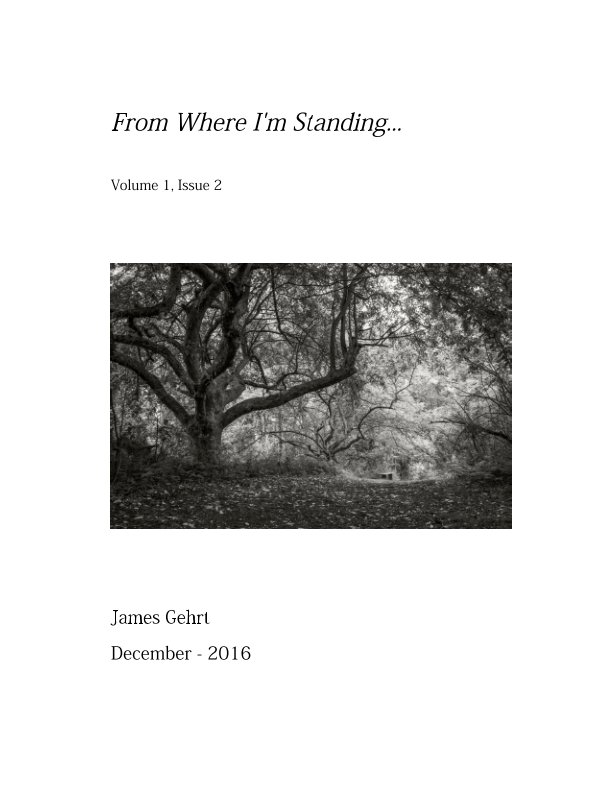 Ver From Where I'm Standing... por James Gehrt