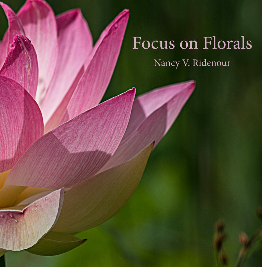 View Focus on Florals by Nancy V. Ridenour