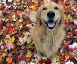 Bailey & Friends book cover