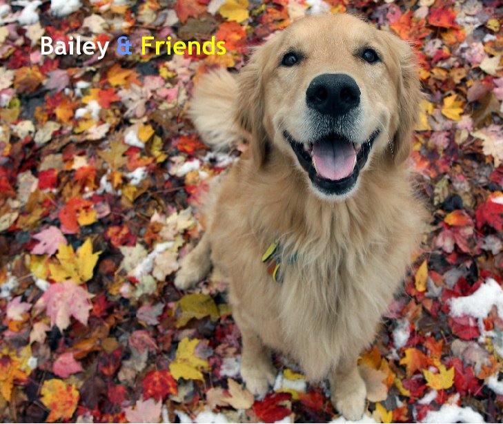 View Bailey & Friends by Mary Beth Aiello