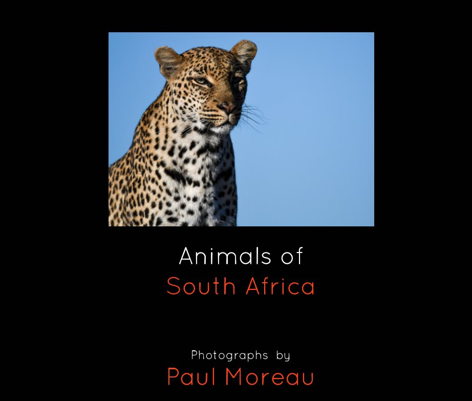 View Animals of South Africa by Paul Moreau
