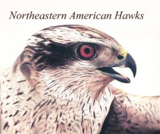 Northeastern American Hawks book cover