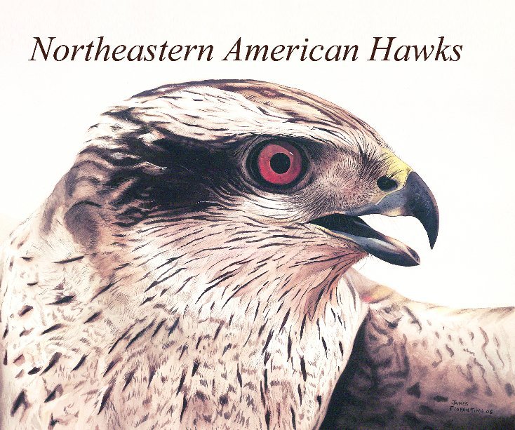 View Northeastern American Hawks by James Fiorentino