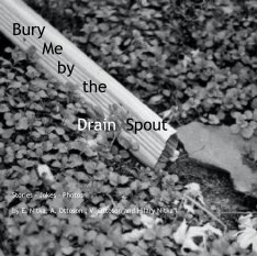 Bury Me by the Drain Spout book cover