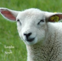 Lambs book cover
