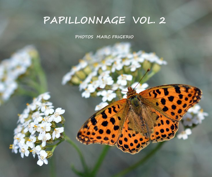 View PAPILLONNAGE VOL. 2 PHOTOS MARC FRIGERIO by Marc Frigerio
