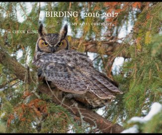 BIRDING 2016-2017 book cover