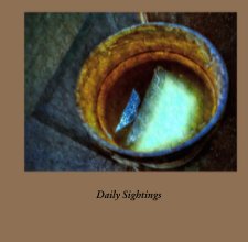 Daily Sightings book cover