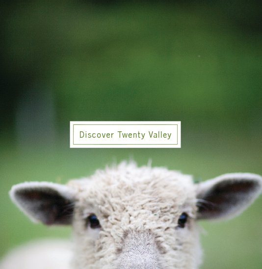 View Discover Twenty Valley by Nancy Falconi