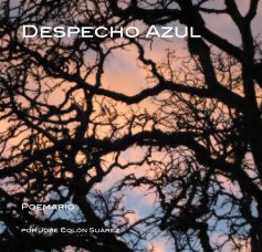 Despecho Azul book cover