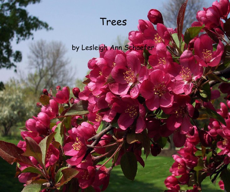 Ver Trees por Lesleigh Ann Schaefer