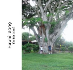Hawaii 2009 The Big Island book cover
