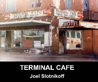 Terminal Cafe book cover