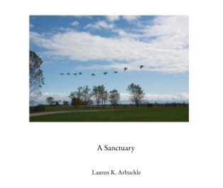 A Sanctuary book cover