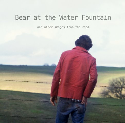 Bear at the Water Fountain and other images from the road nach Sam Ogden anzeigen