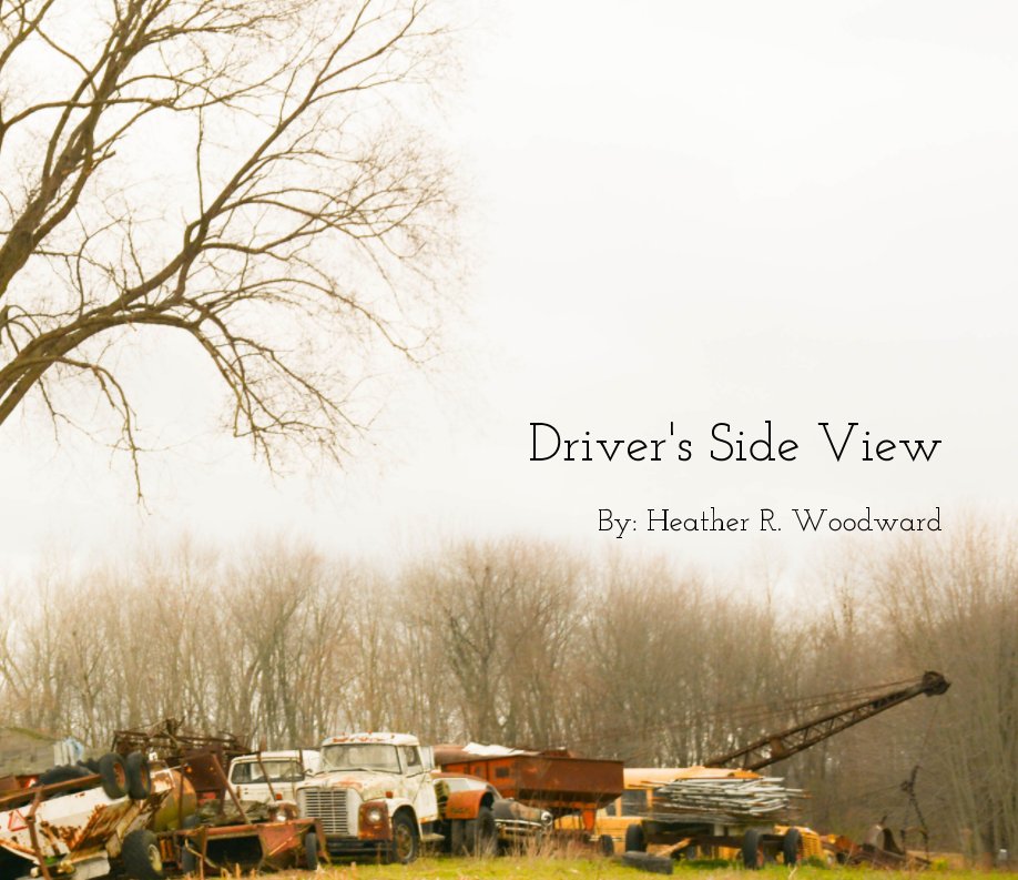 Voir %(titre) par %(nom_de_l'auteur)