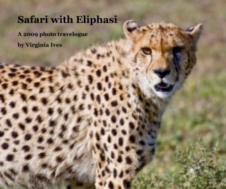 Safari with Eliphasi book cover