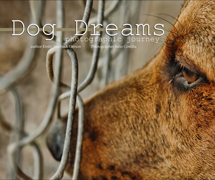 View Dog Dreams by Emily Gerson