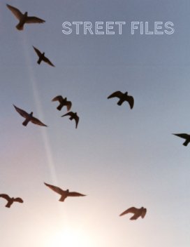 Street Files 1 book cover