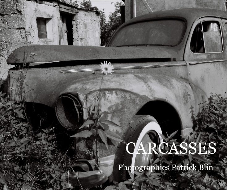 View CARCASSES by Photographies Patrick Blin