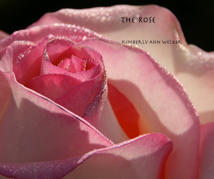View The Rose by Kimberly Ann Welker