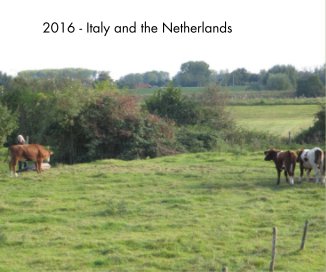 2016 - Italy & the Netherlands book cover
