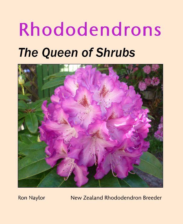 Ver Rhododendrons por Ron Naylor New Zealand Rhododendron Breeder
