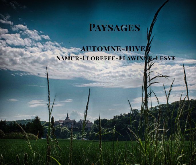 View Paysages.

Région namuroise en automne et hiver. by Quentin Spitaels