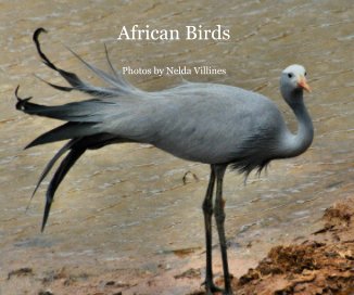 African Birds book cover