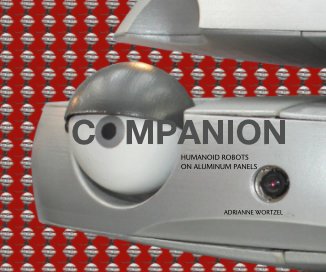 COMPANION book cover