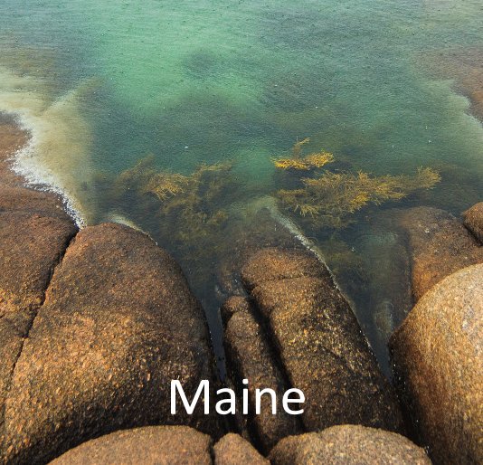 View Maine 2014-2016 by Emily Miller