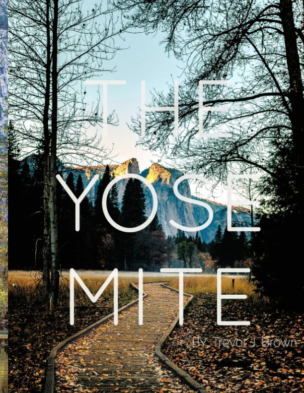 View The Yosemite Volume I by Trevor J. Brown