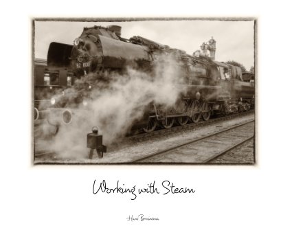 Working with Steam book cover