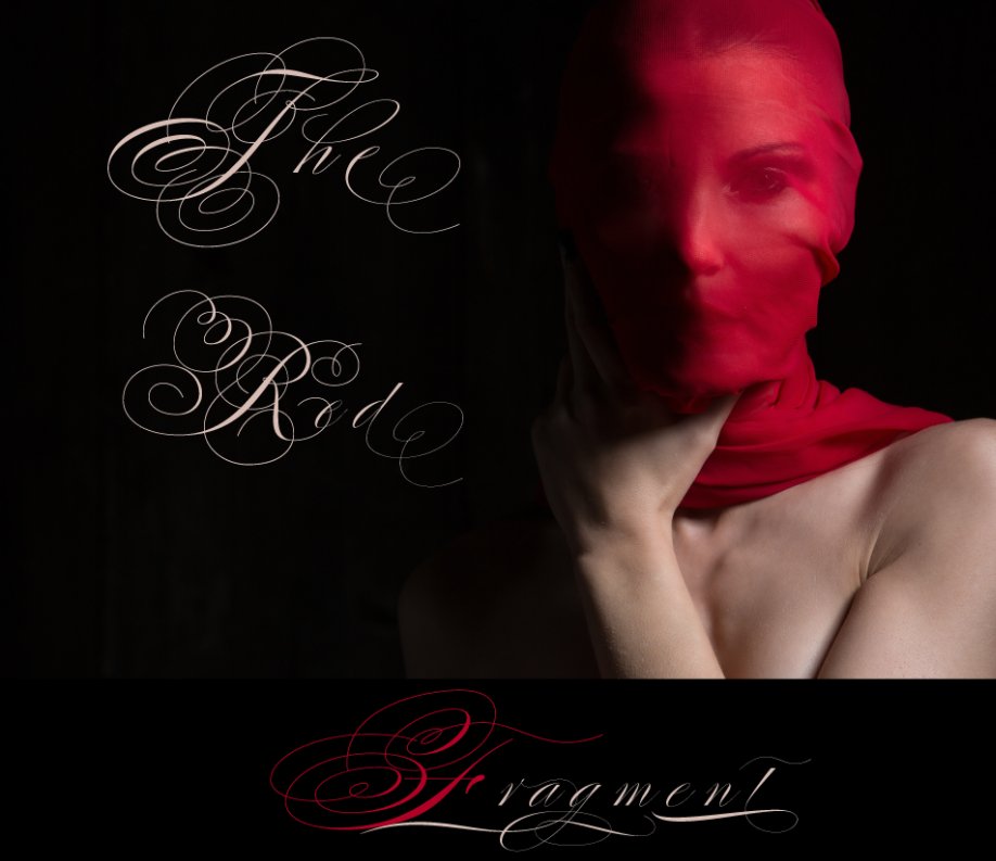 View The Red Fragment by Paolo Carlo Lunni