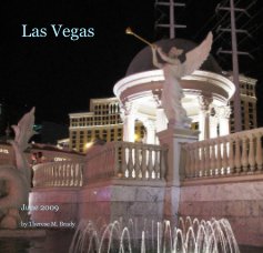 Las Vegas book cover