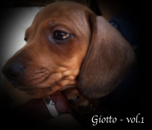 Giotto - vol.1 book cover