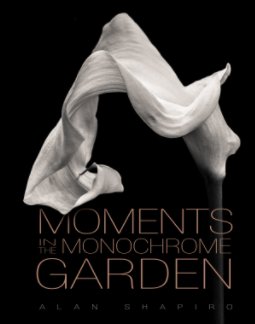 Moments in the Monochrome Garden book cover