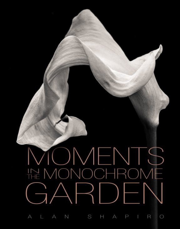 View Moments in the Monochrome Garden by Alan Shapiro