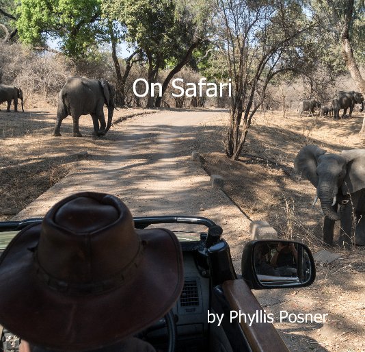 View On Safari by Phyllis Posner
