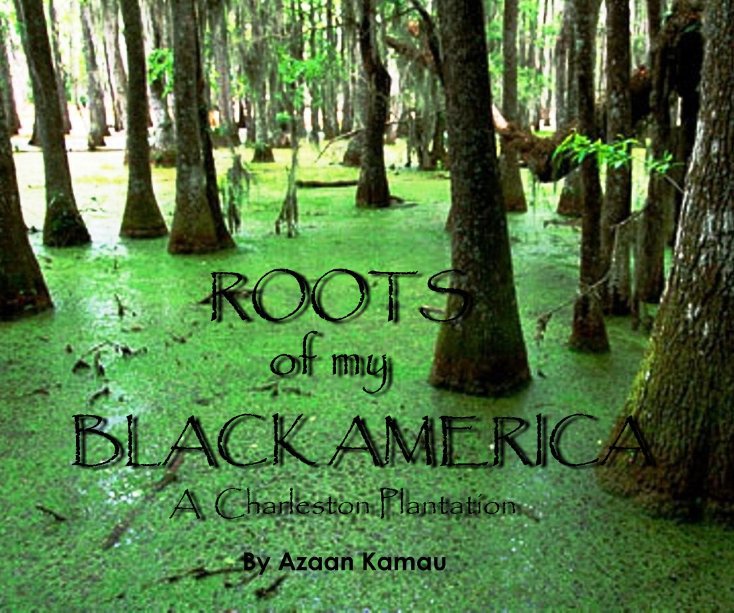 Bekijk Roots of My Black America op Azaan Kamau