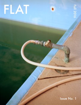 Issue No. 1 book cover