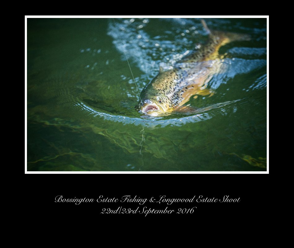 View bossington estate fishing and longwood shoot 22nd-23rd sep 2016 by dean mortimer