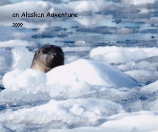 an Alaskan Adventure book cover