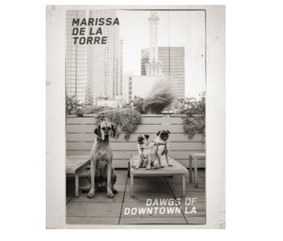 dawgs of downtown la book cover